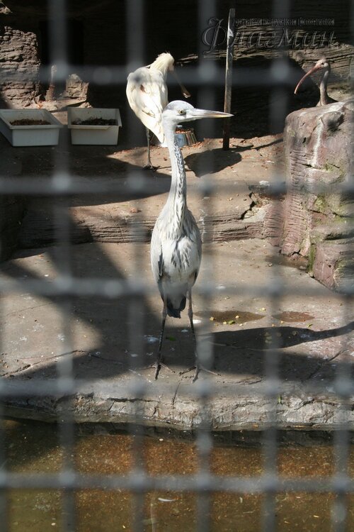 IMG_0652_r